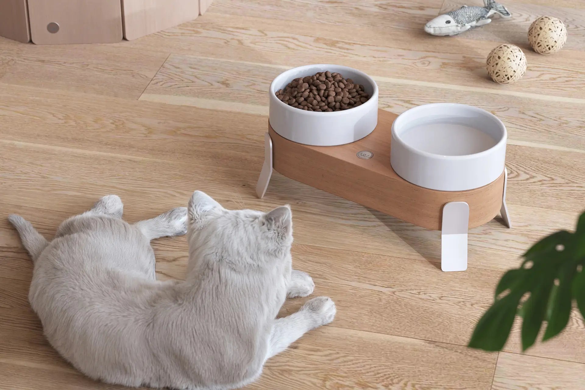 Alimentador Duplo Shell