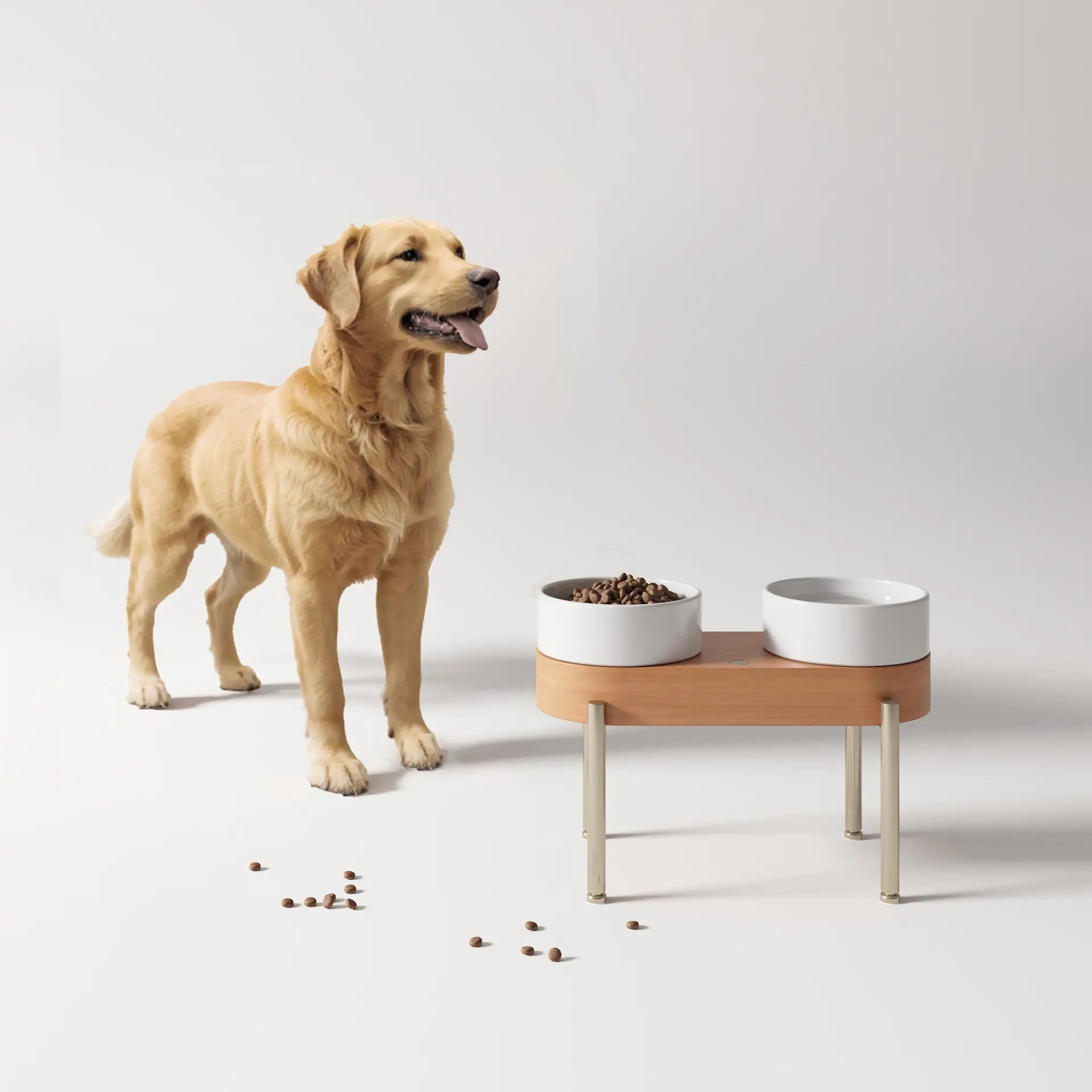 Alimentador Noble - Branco