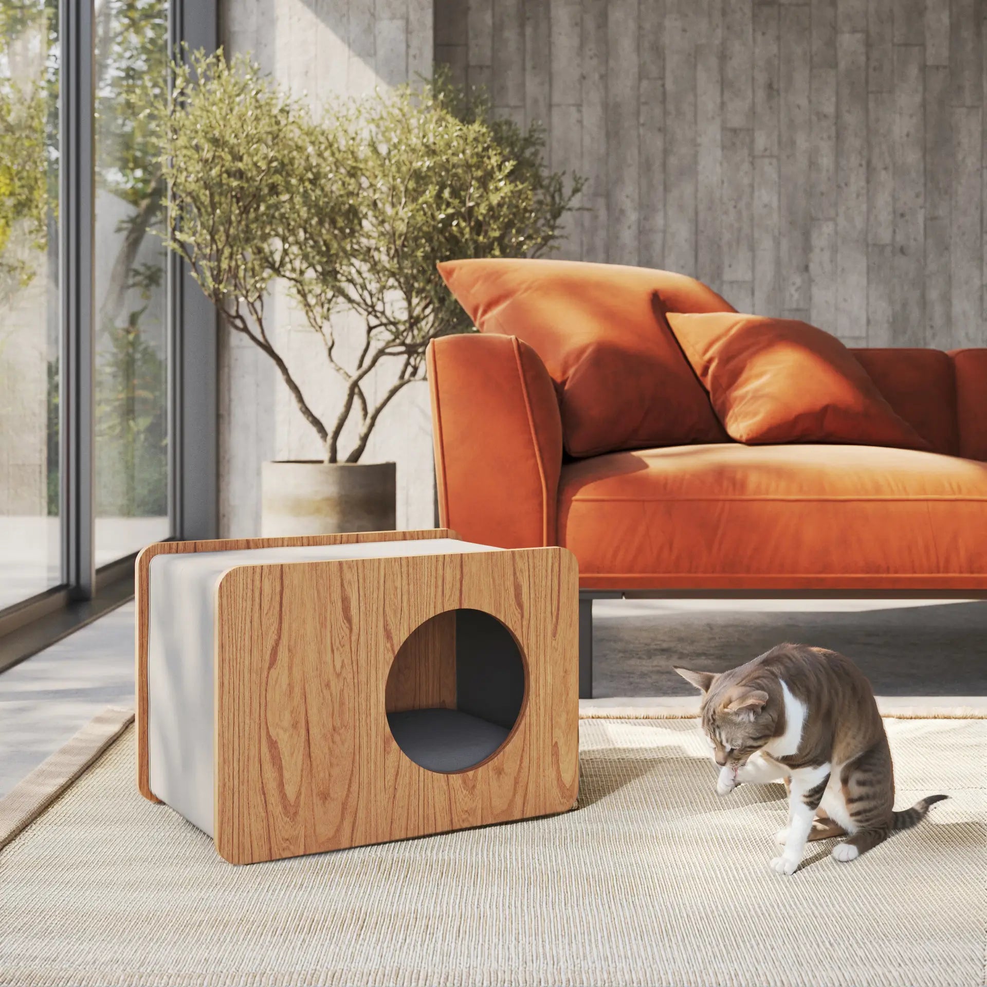 Casinha Quadra Pequeno Porte