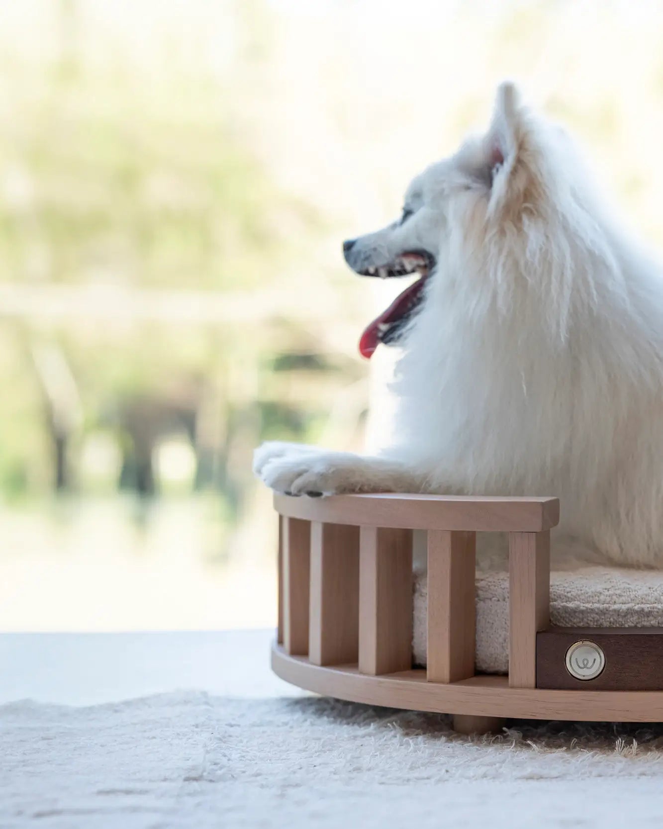 Caminha Retangular Grecco Oak