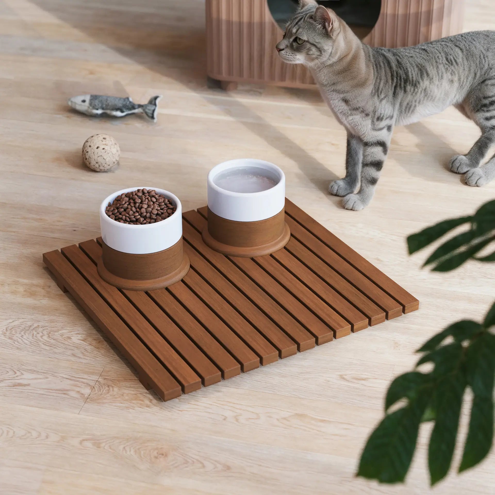 Deck Alimentador Hut